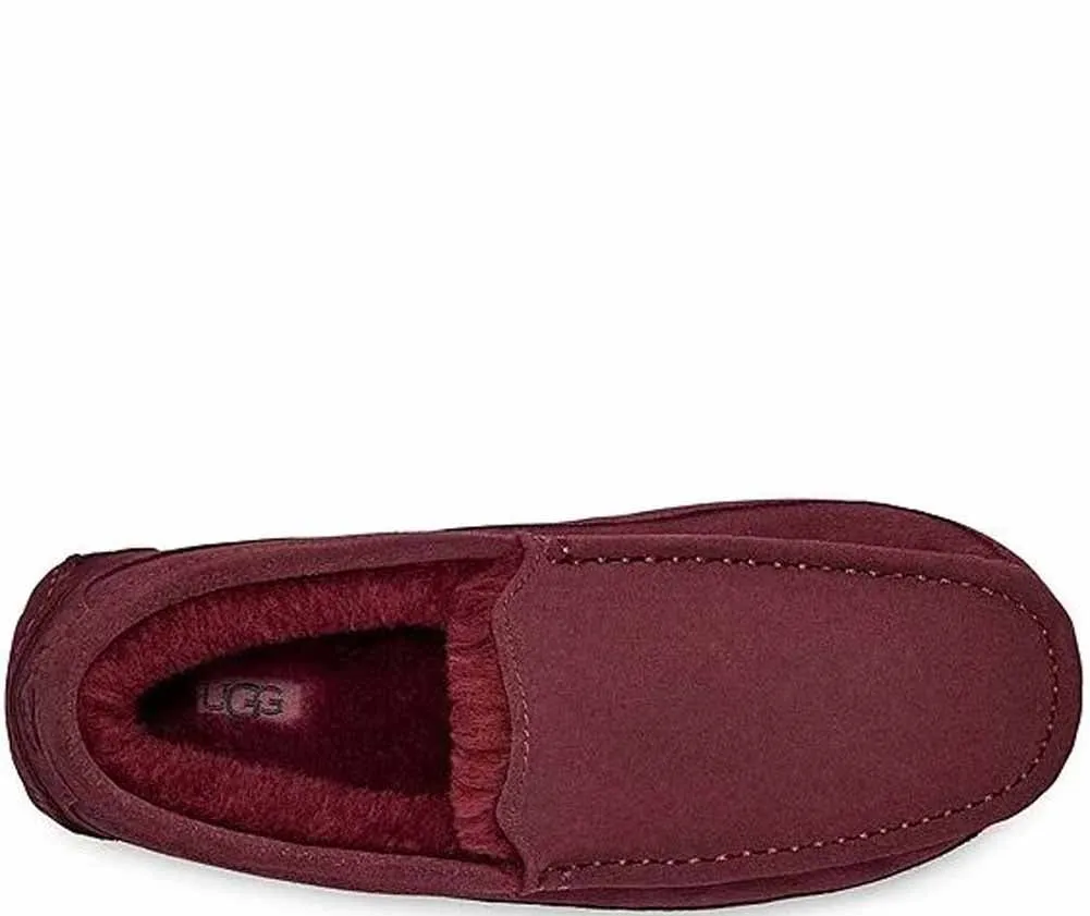 Ascot in Wild Grape by UGG