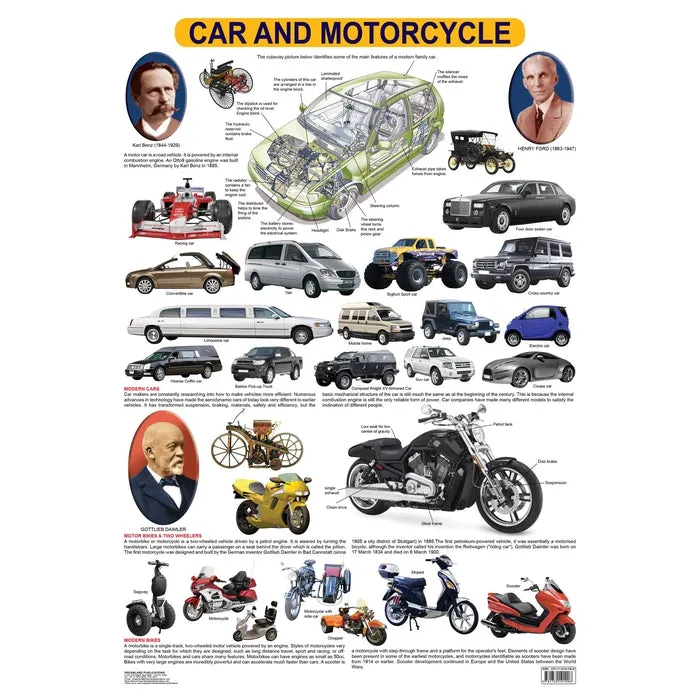 Cars & Motorcycle - Chart