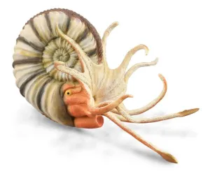 CollectA Pleuroceras Ammonite Figurine XL