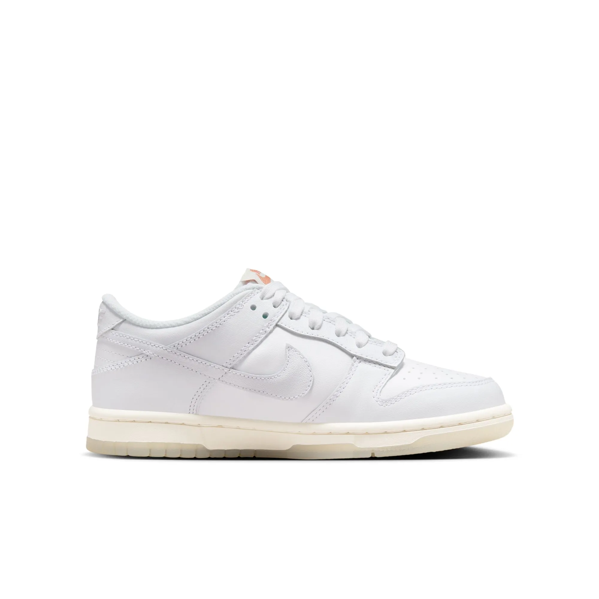 Nike Dunk Low SE GS (White/Multi-Color/Terra Blush)